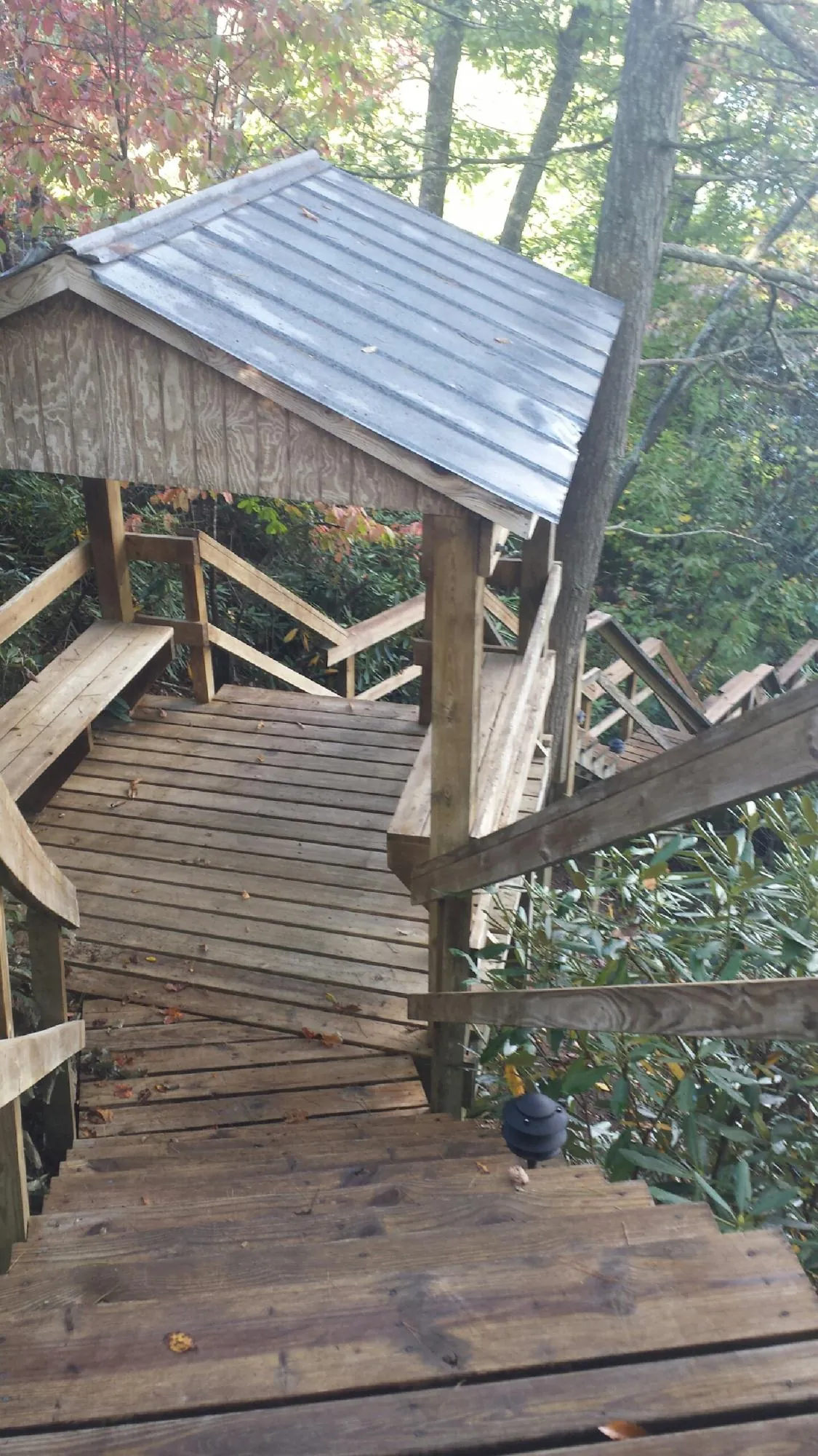 Metal roofed shelter over wooden steps on a wooded walkway — Skylight Repair & Installation work by our crew in Wellborn